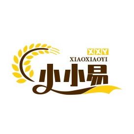 小小易心