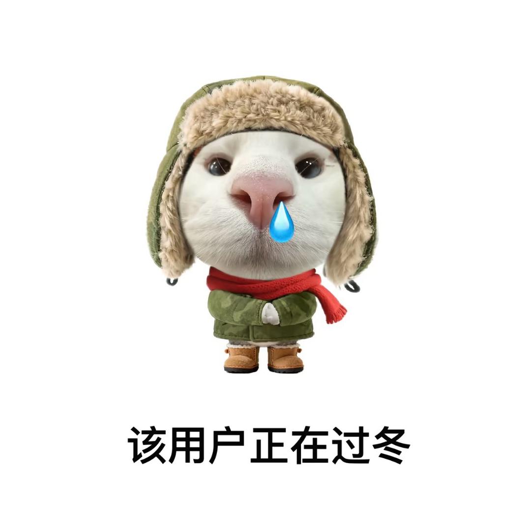 小柿 ᳐番茄 ᳐੭