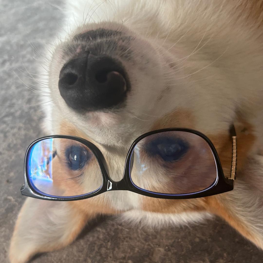 陈八一的朋友圈🐾