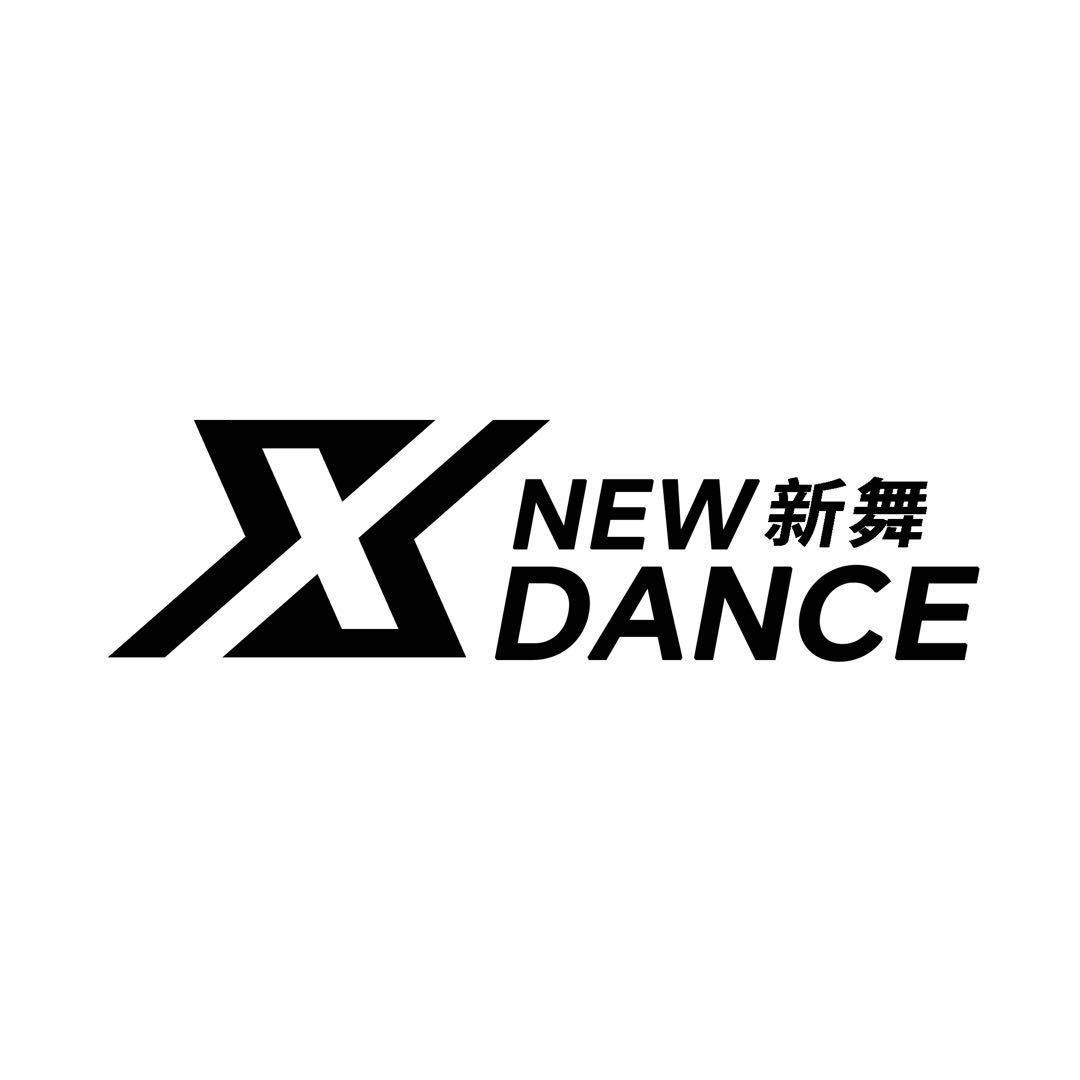 NEWDANCE 新舞街舞