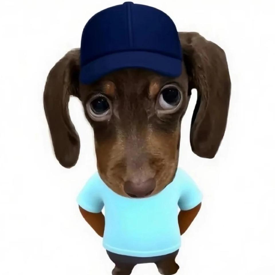 一天立八百个人设