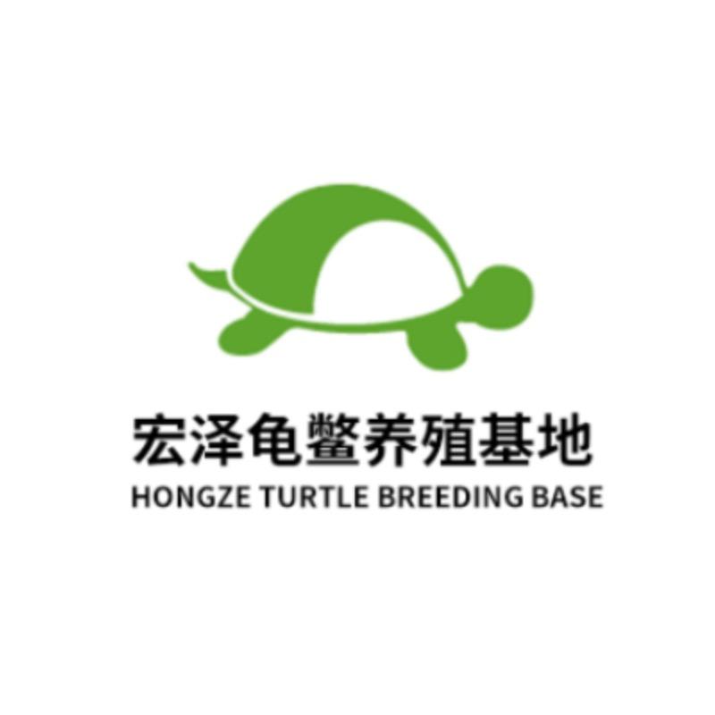 龟王大家庭