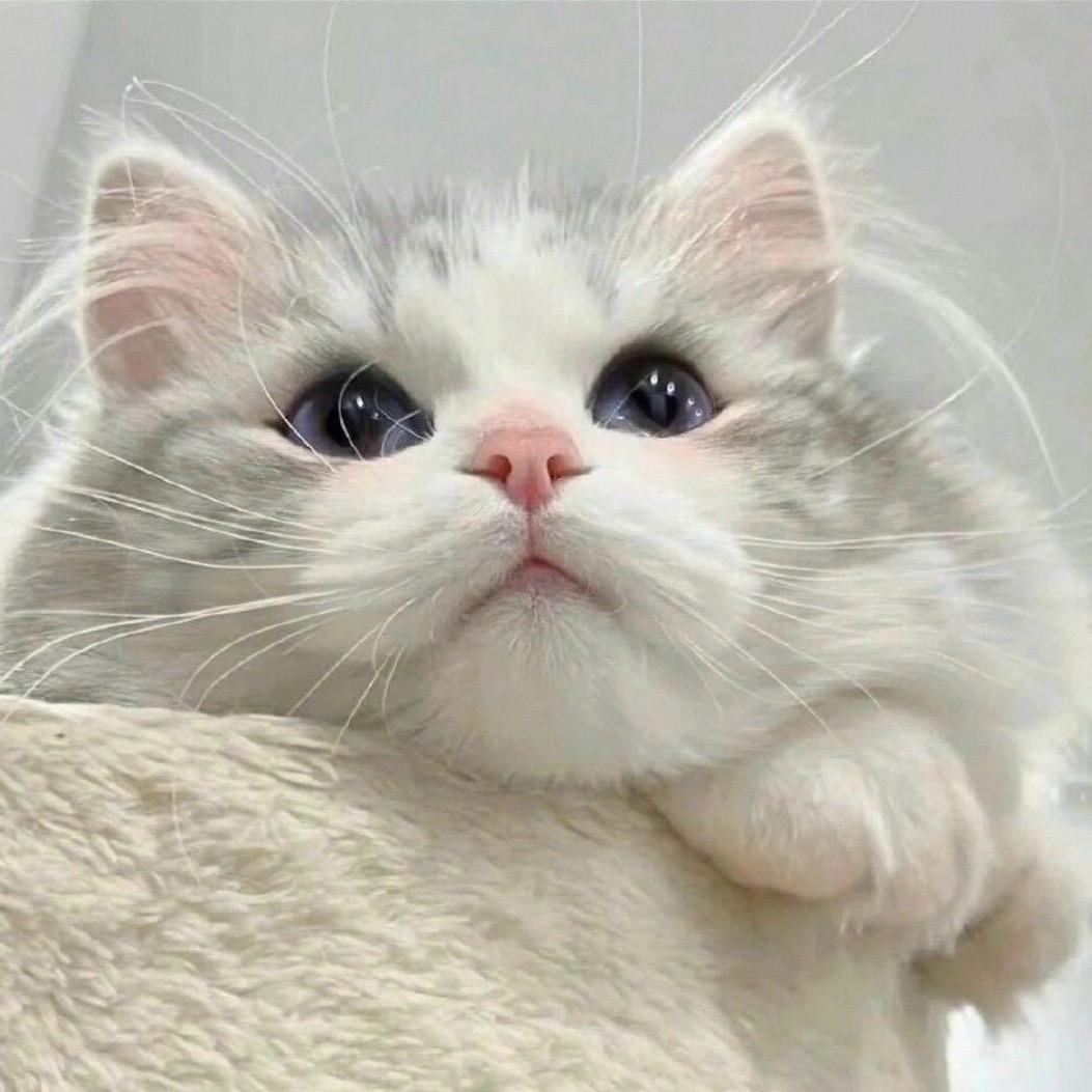 小雷潮流好货店