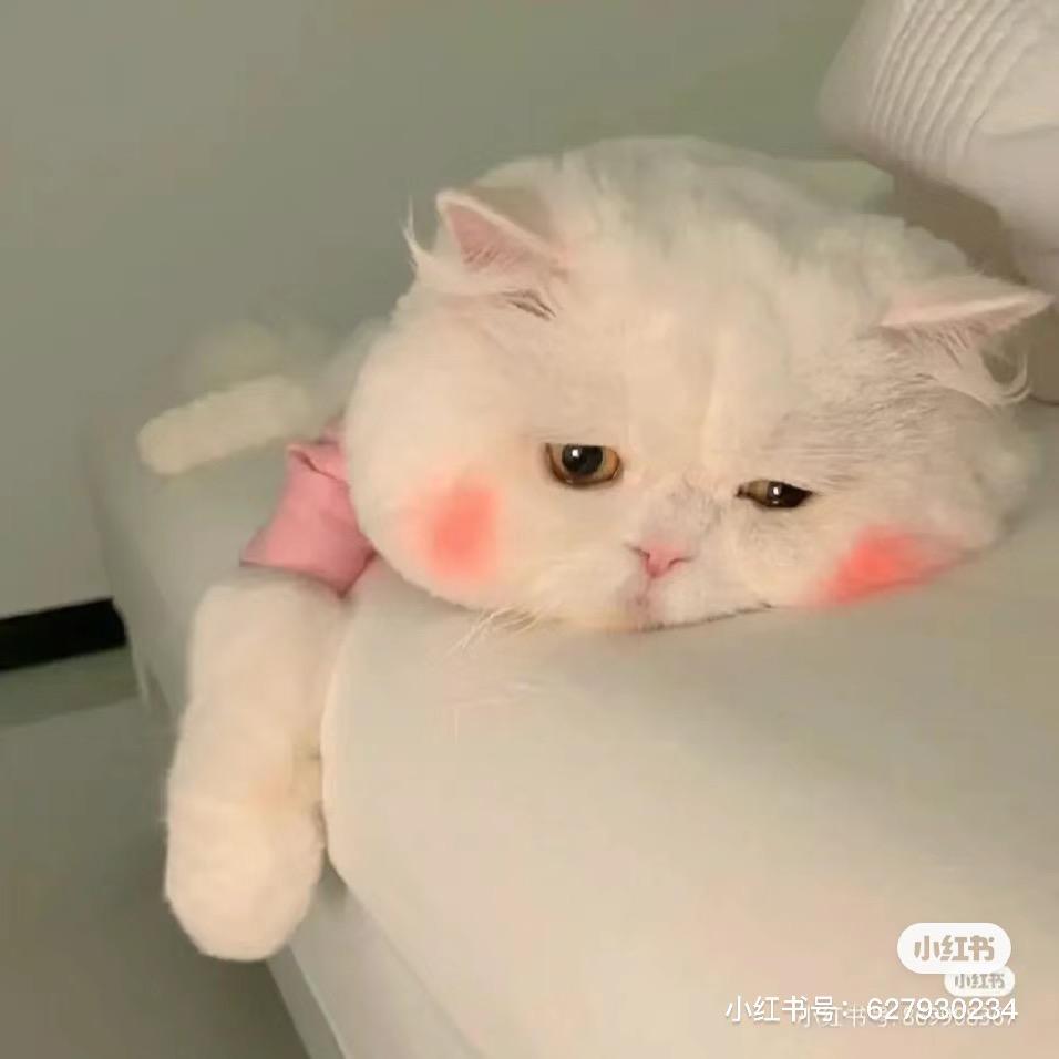 了欧楼