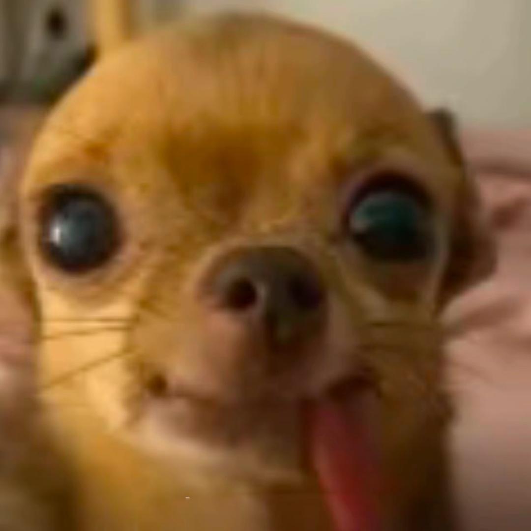 是不是笑脸给多了