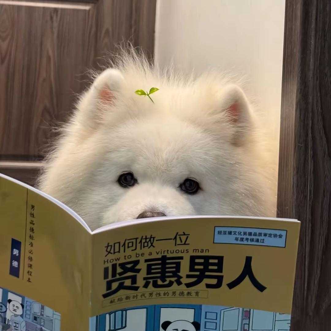 爱打游戏的小李