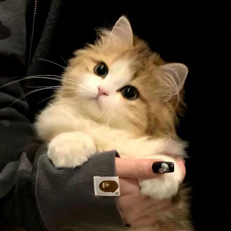 皮革厂在逃小姨子