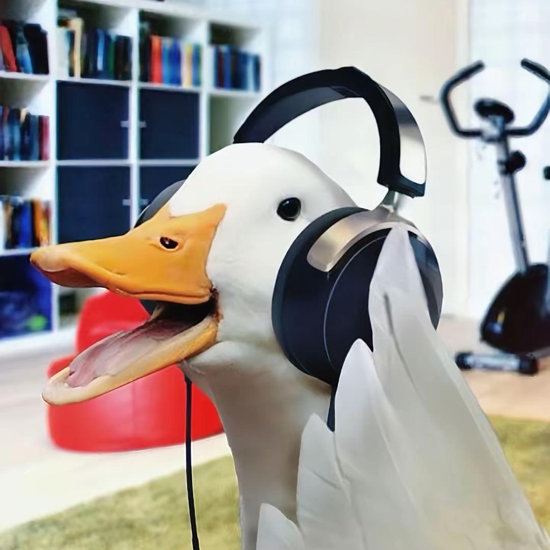 科普鸭