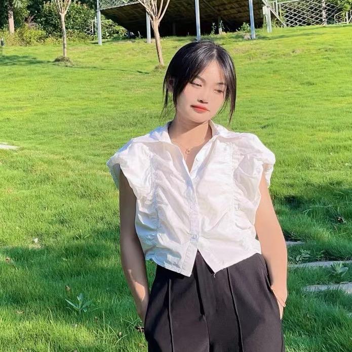 迷鹿会运营（ip全案）