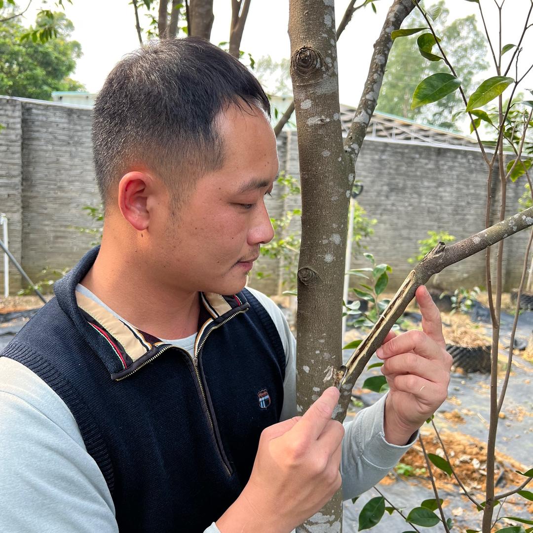阿拉丁农业创意生活馆