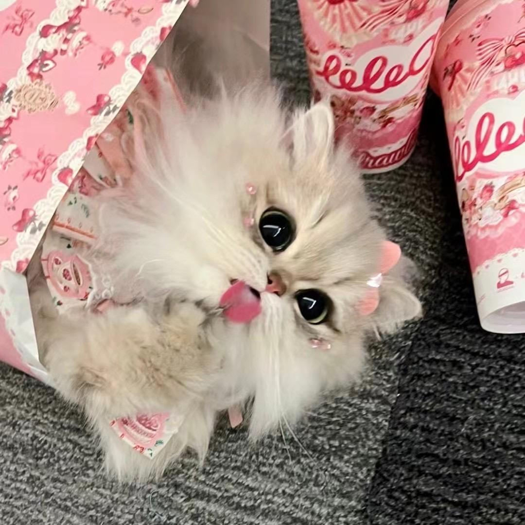 一薪一亿