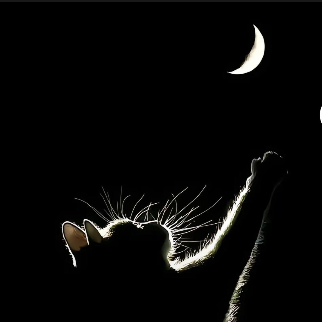 一天的我（互关噢🐝）