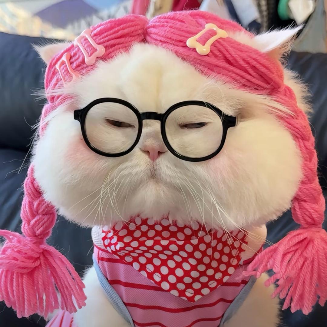 周周🫡