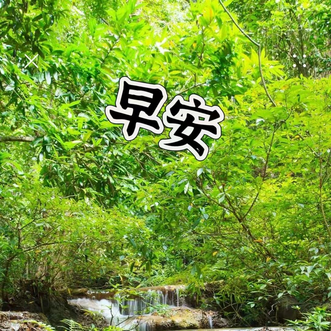 荣富龟宠