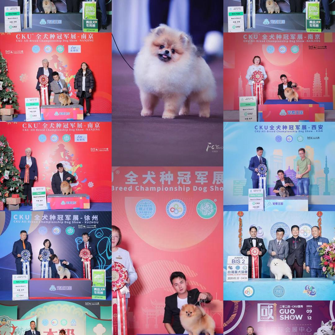 你好我姓陈