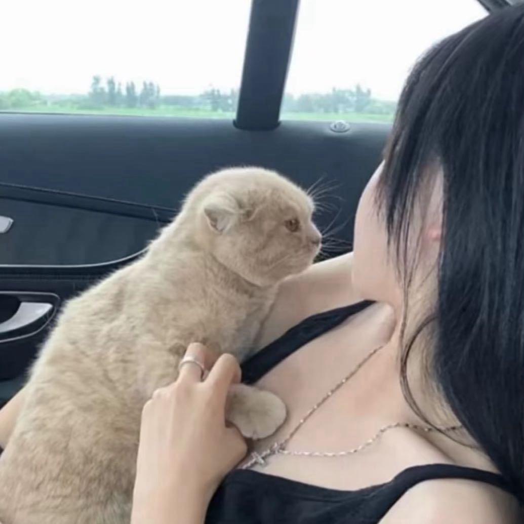 骗我的人都死了