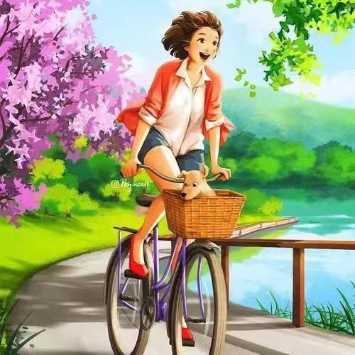 扶摇直上 河北单招