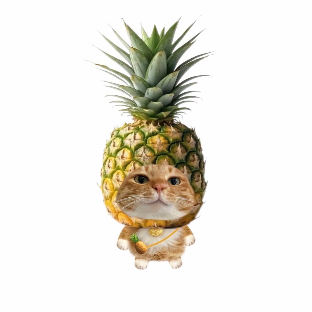 怡子