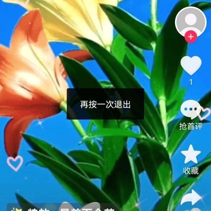 苦命人