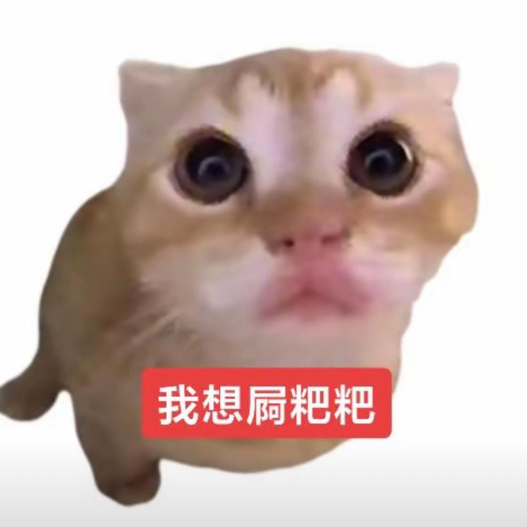 水饺