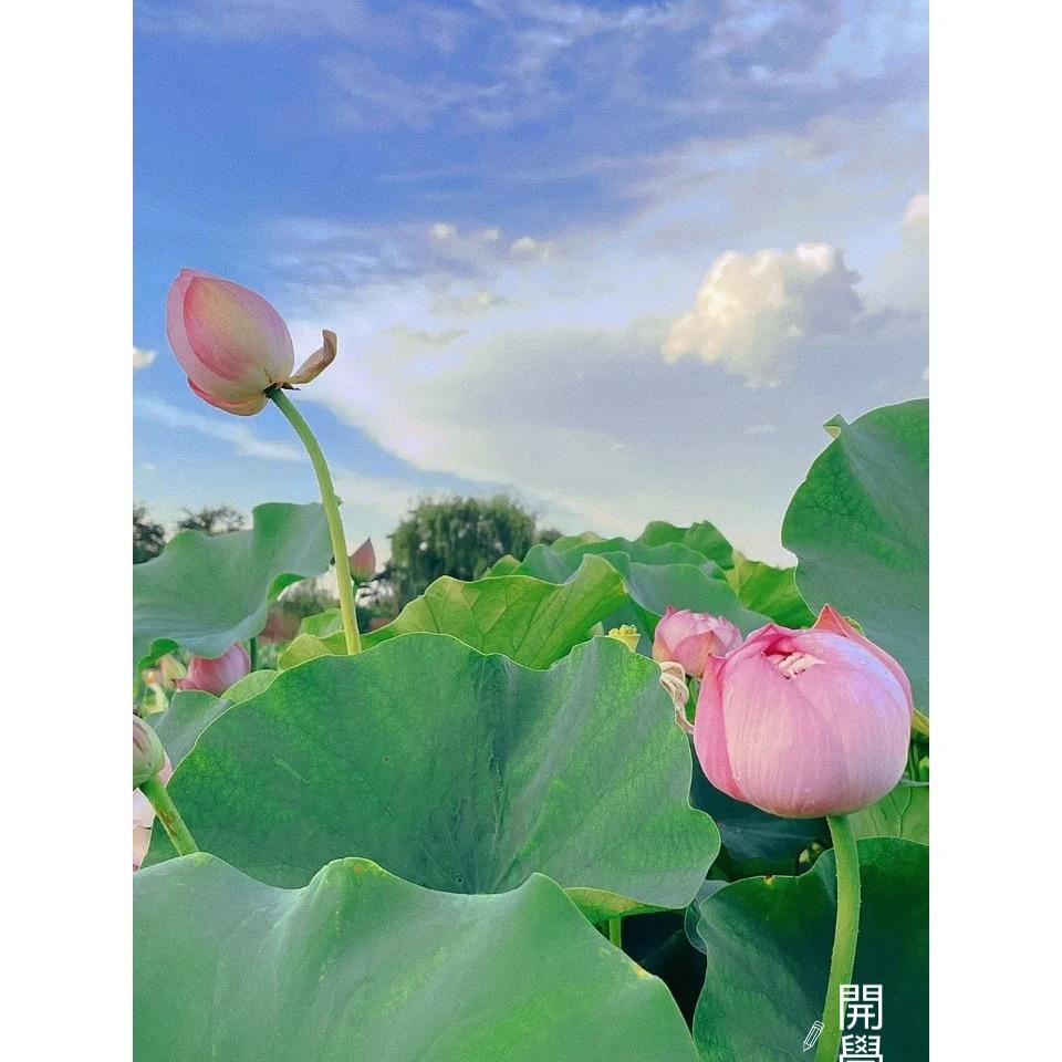 尔东心❤️台