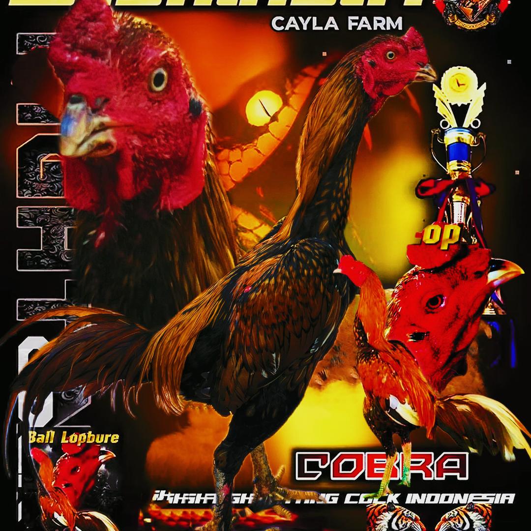 鄂城区法寒雁百货店