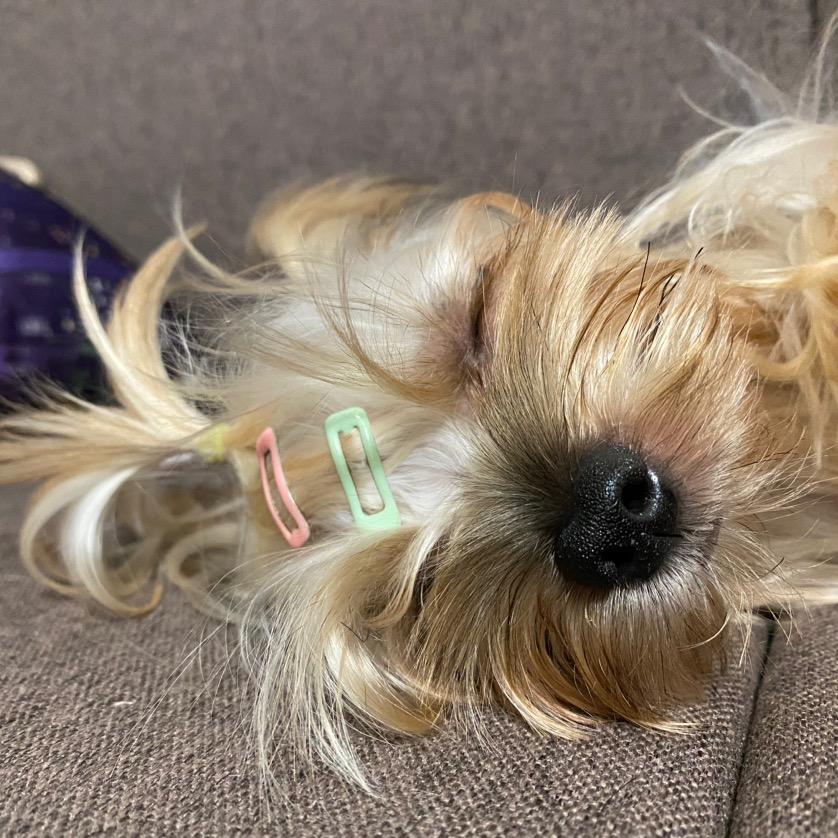 🌈🌈ddddfxb🍀🍀