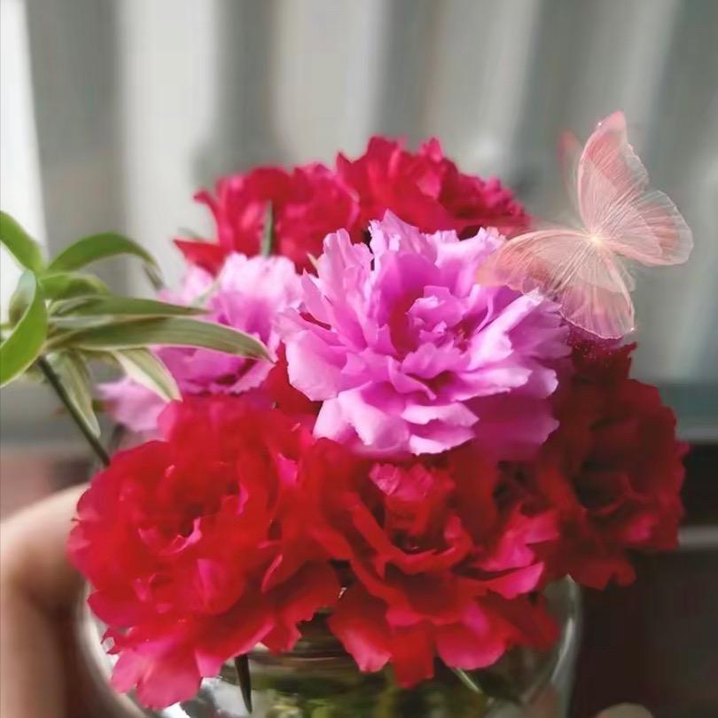 平安喜乐🌼