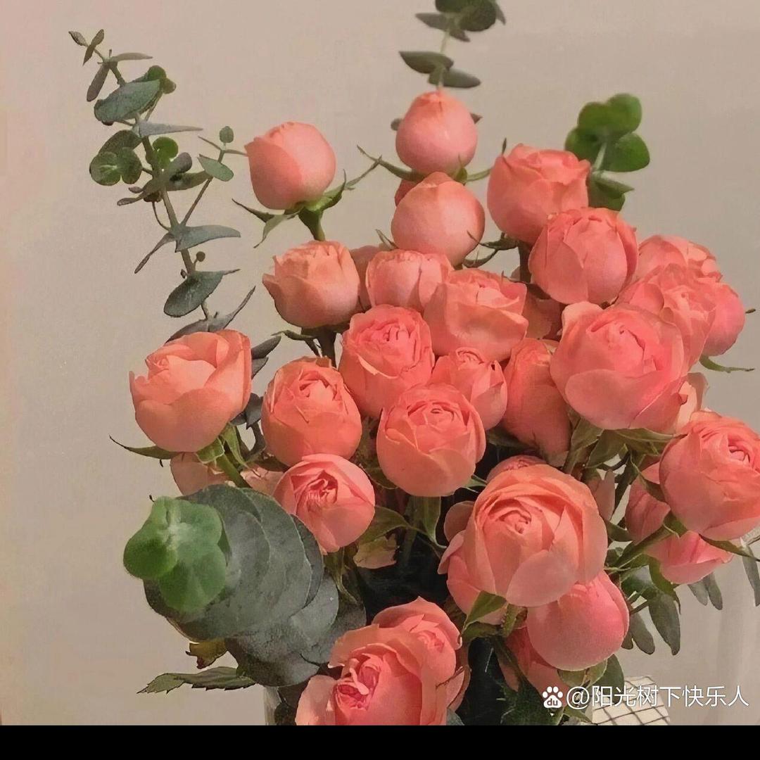 淡如水