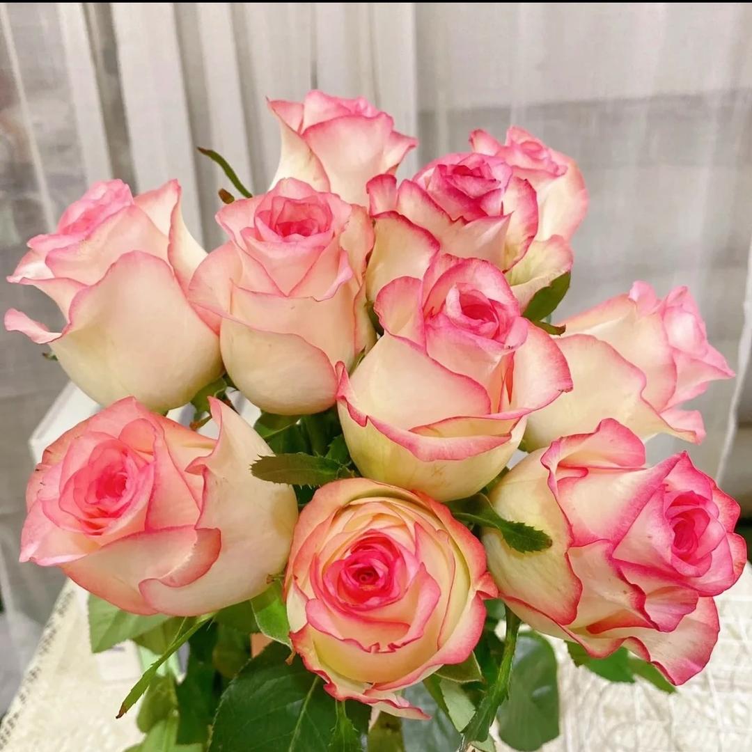 万盛花卉