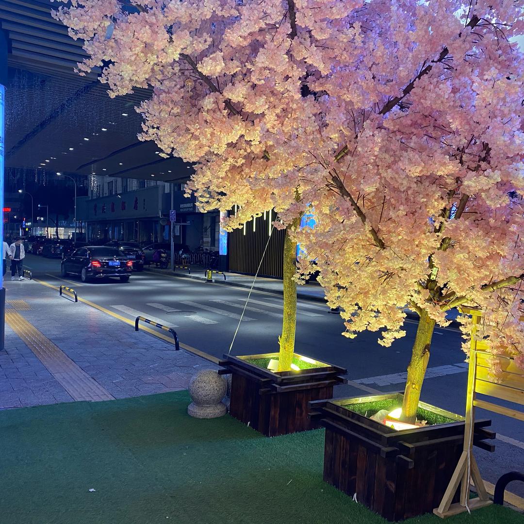 爱喝水的小丸子