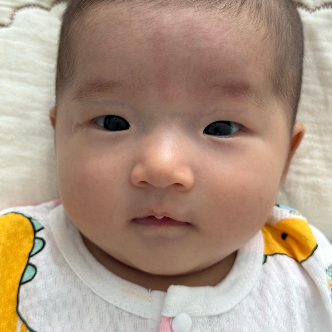 洛伊小宝（成长日记）