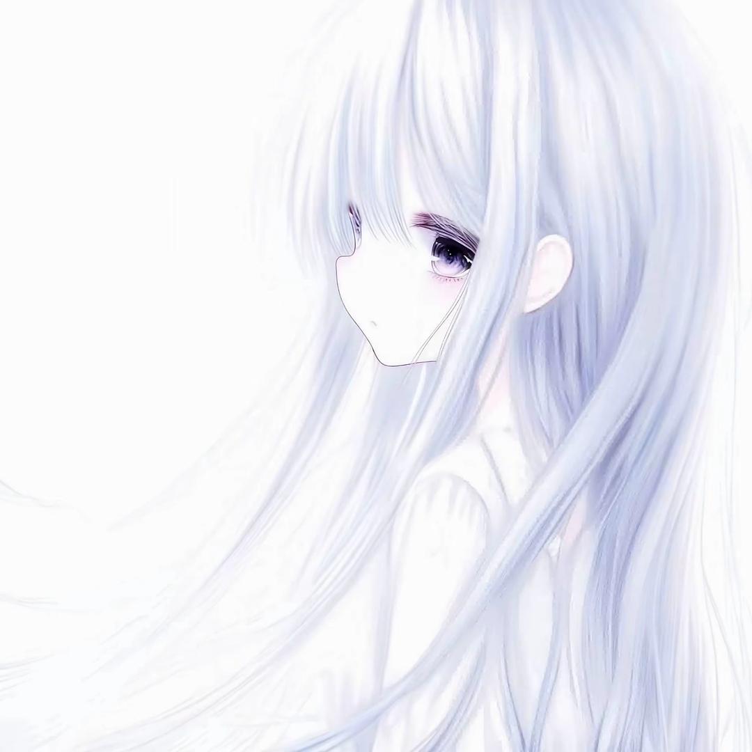 高冷