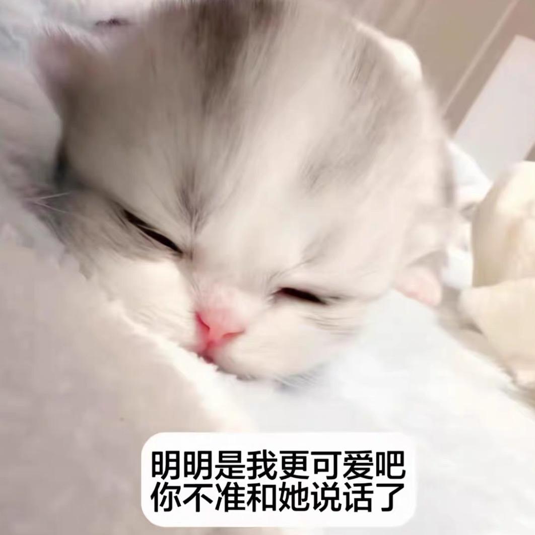 番茄🍅酱