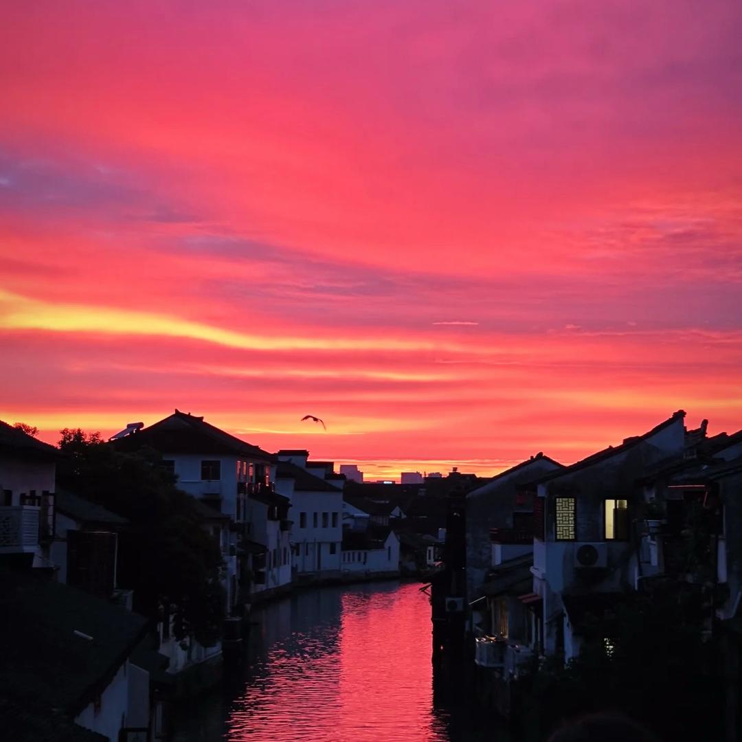 站住不许董