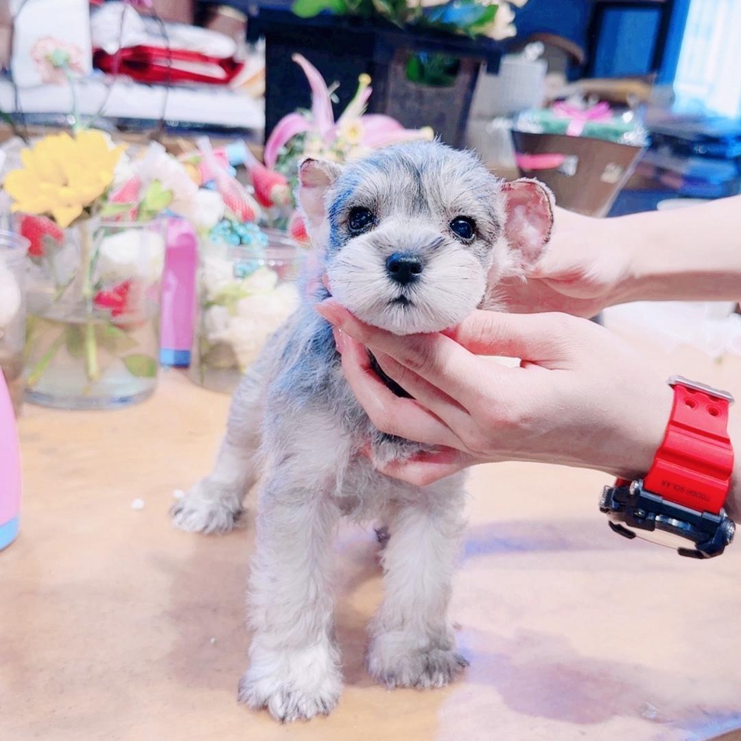 太原迎泽区富西宠物店afy