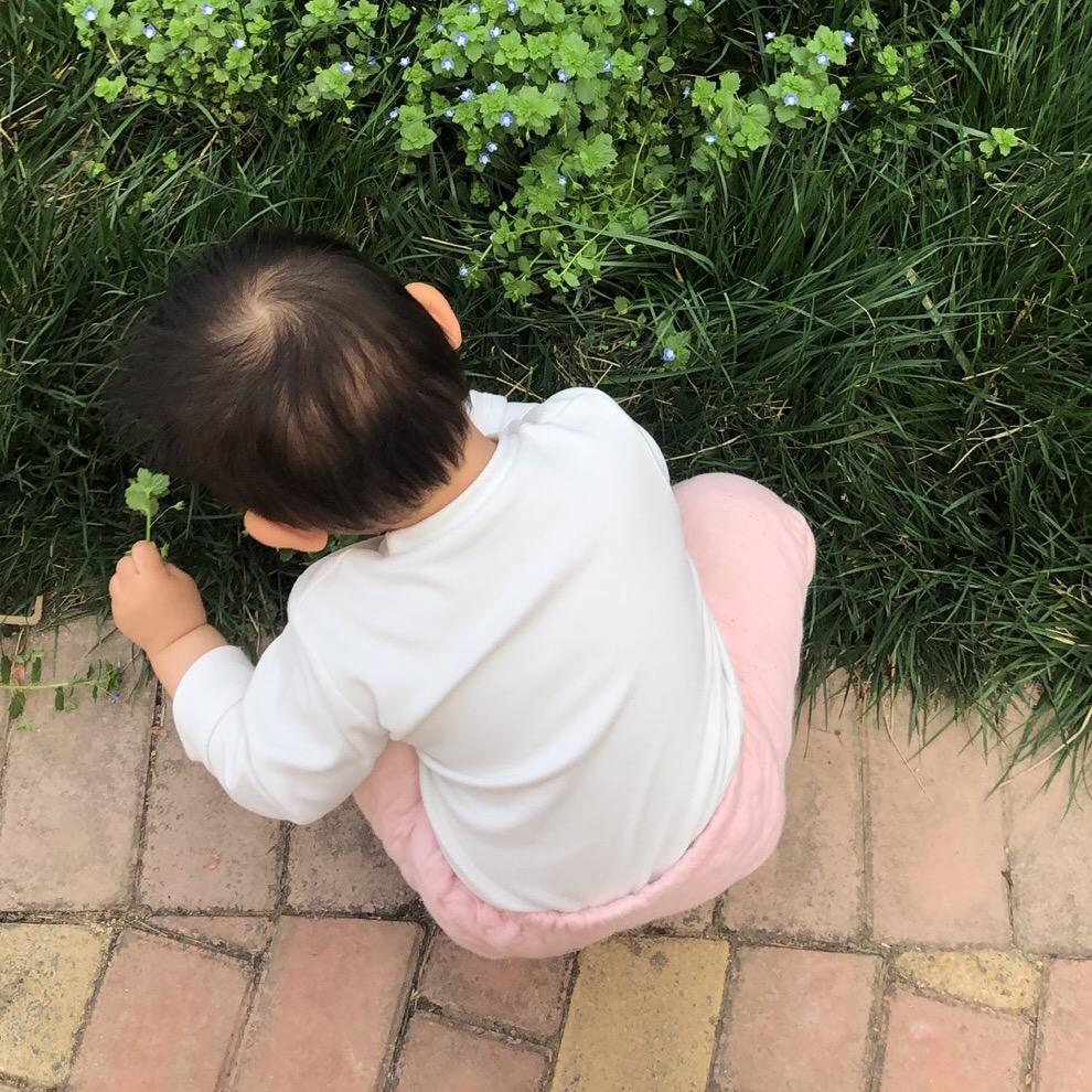 耳东陈
