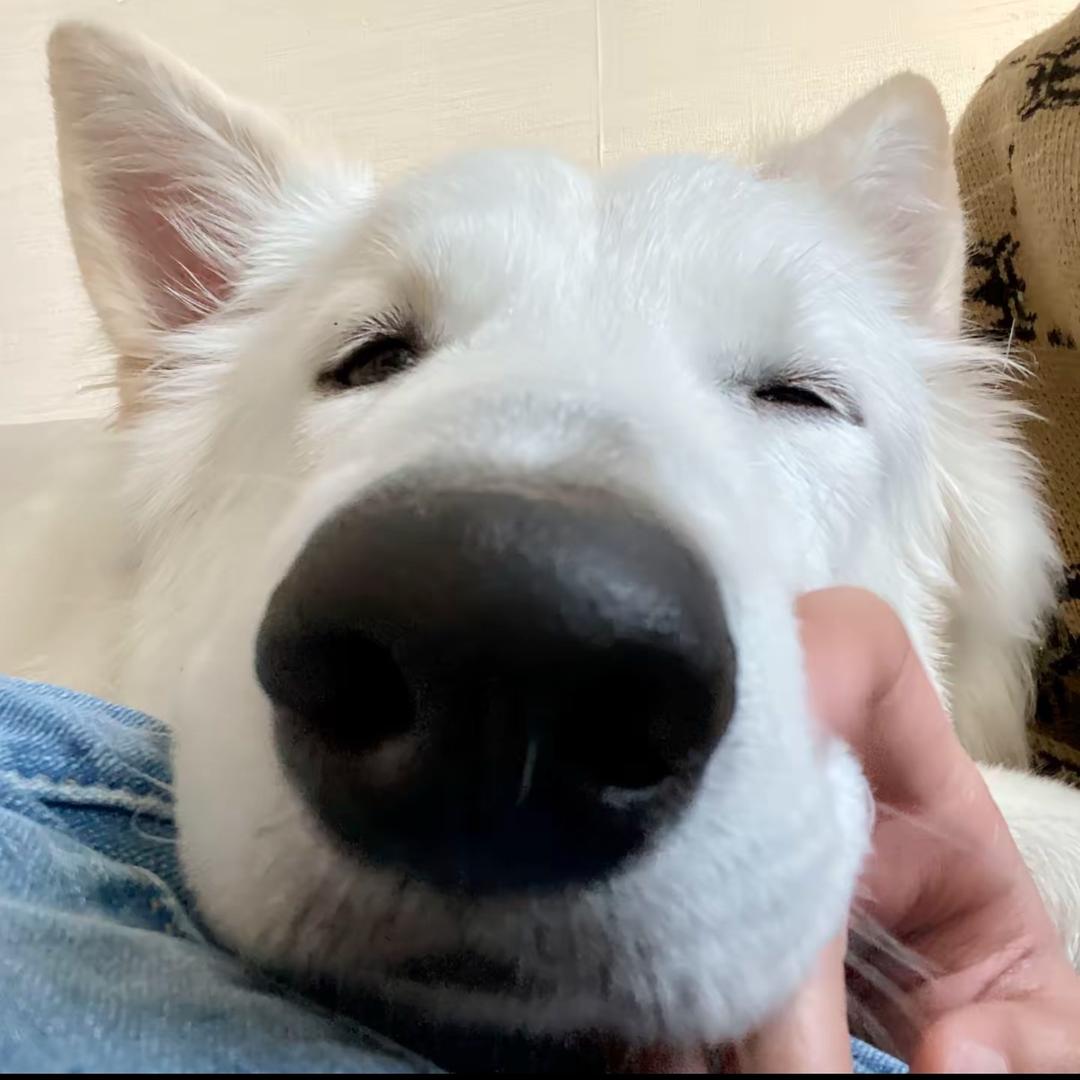 牧牧