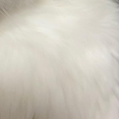 CC