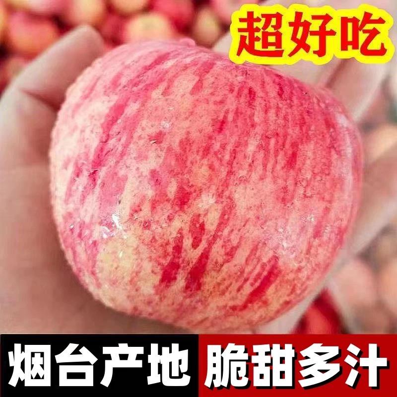 蓬莱大辛店德润果蔬气调库