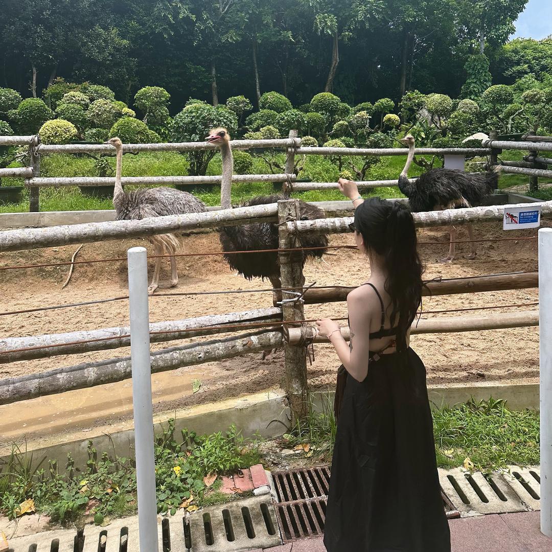 是宏宏呀