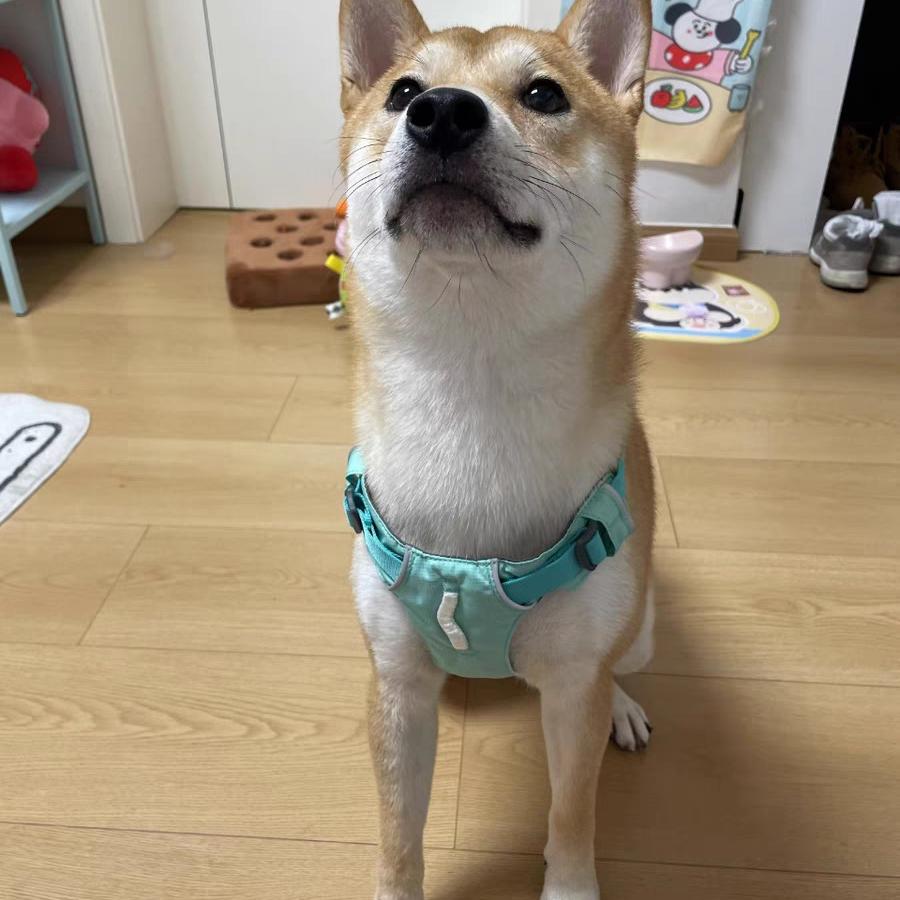 茉辰昕榆百货店