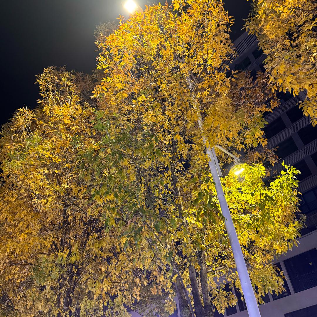 派送专家