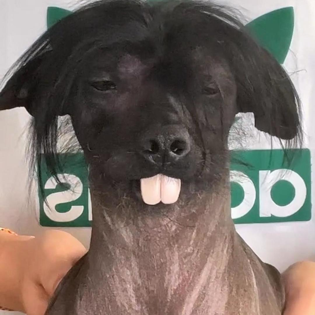 🚬᭄ཽ࿆谋财💰渡余生࿐: 🚬᭄ཽ࿆