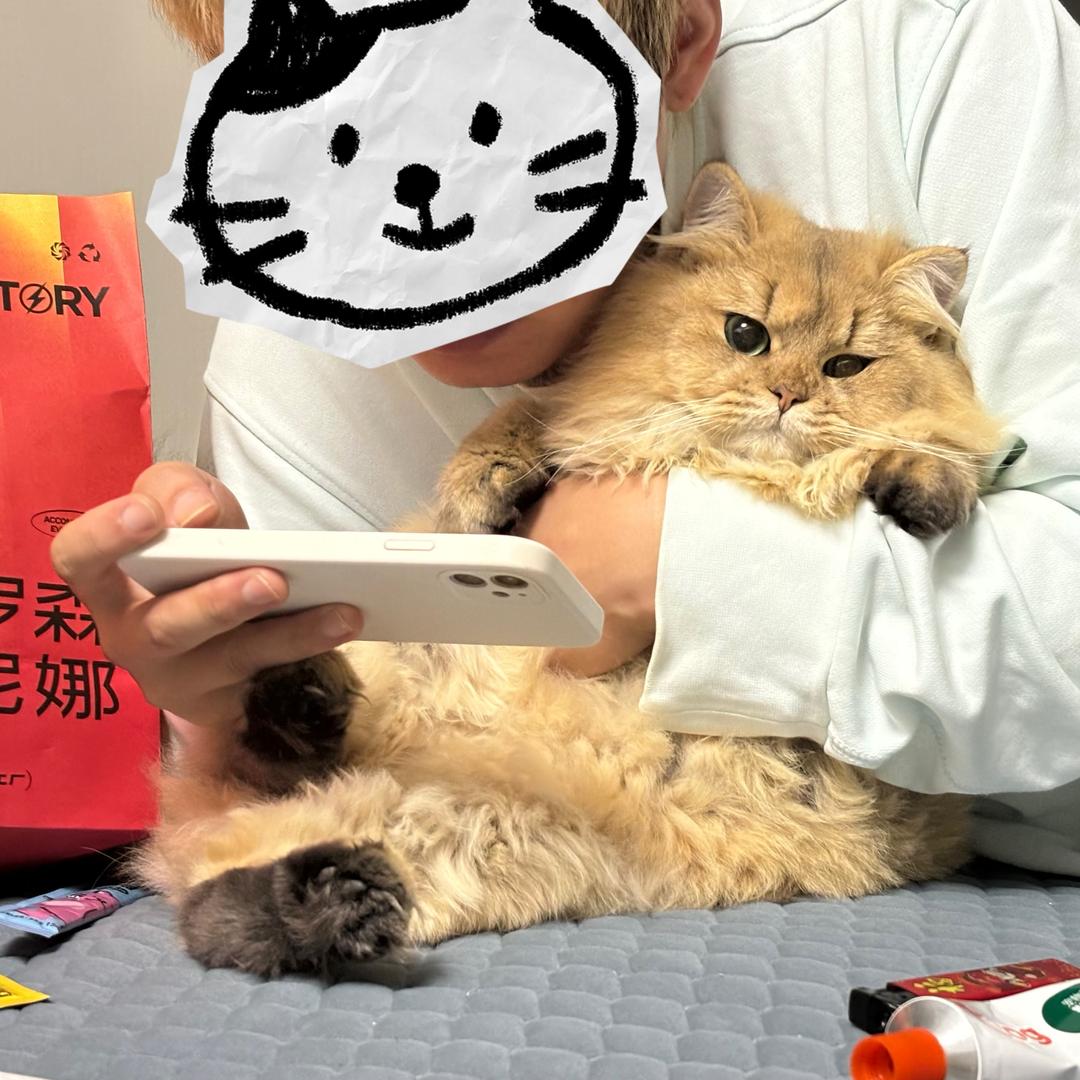 谁是馒头