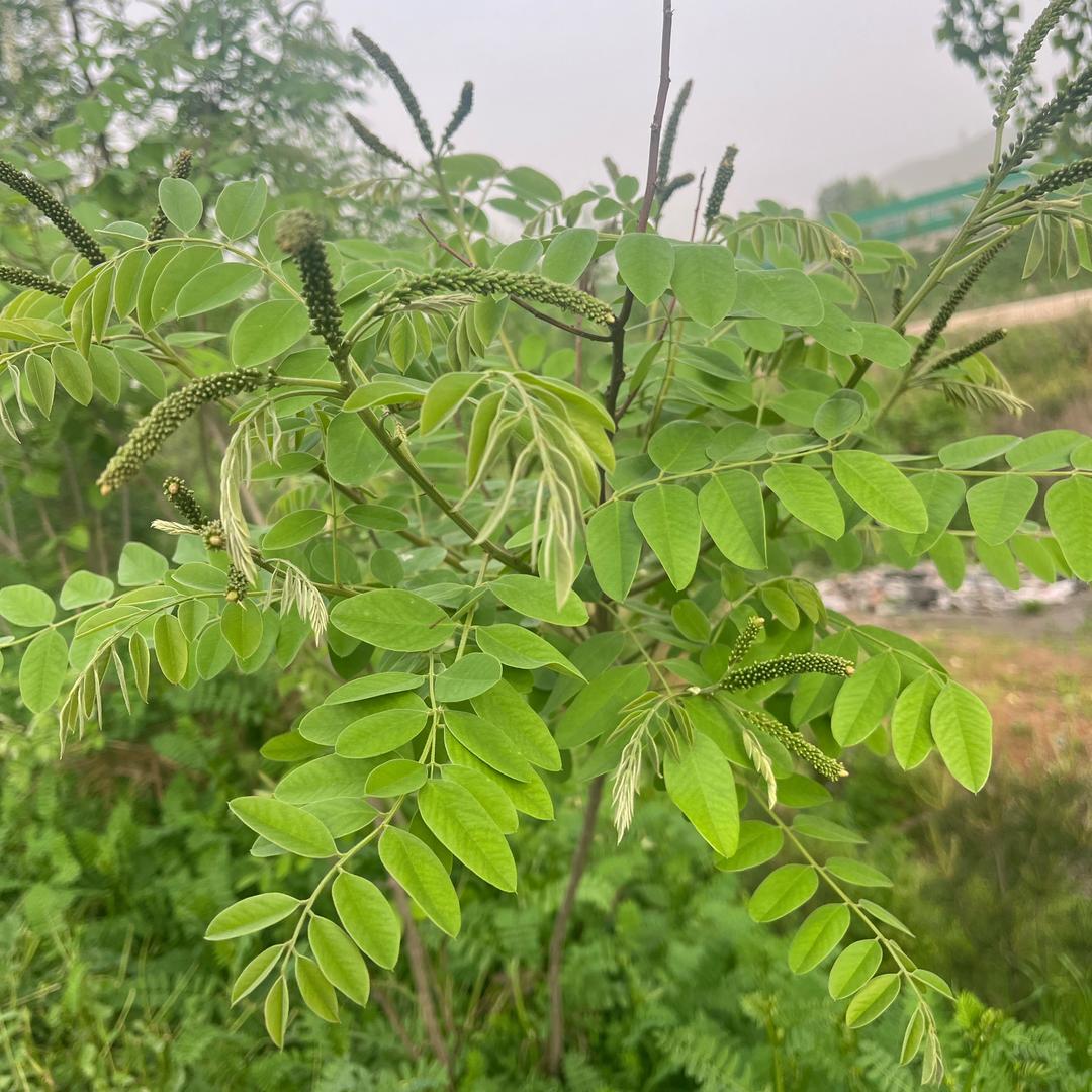舞动青春