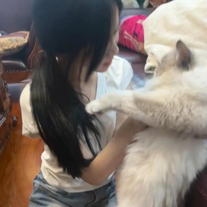 周八见