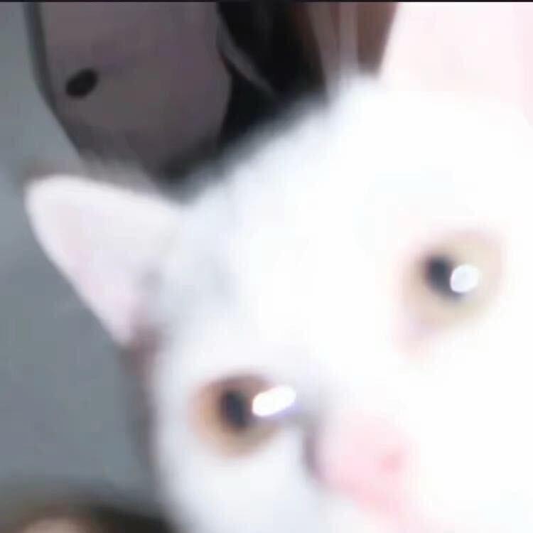 Zzz..