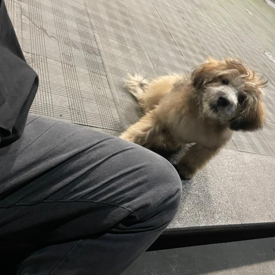 吃饱了就睡