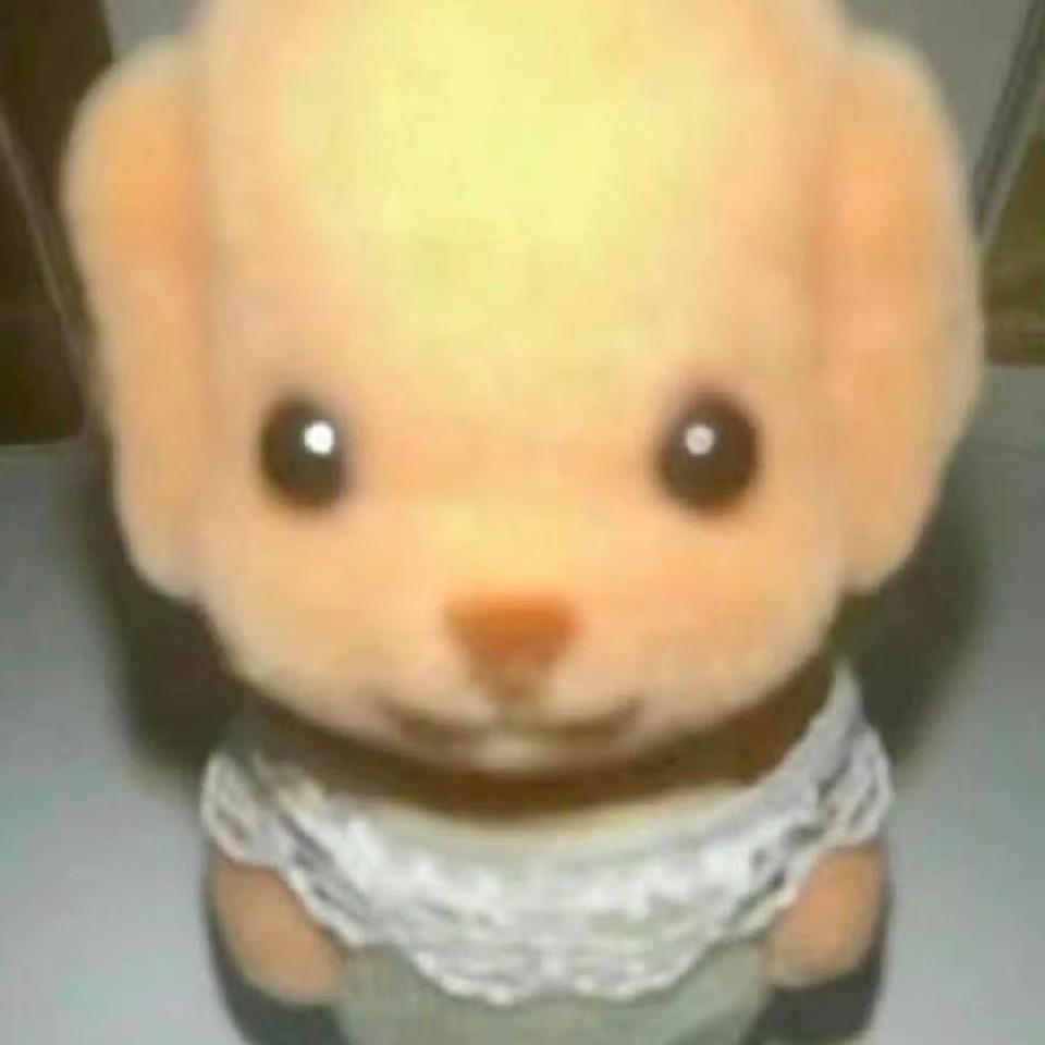 传杰大王666